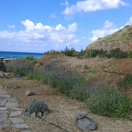 Beach Pantheon